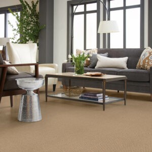 Carpet Inspiration | Carpetland USA Granite & Flooring