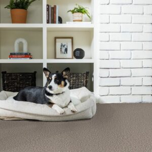 Carpet flooring | Carpetland USA Granite & Flooring